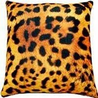 antys11_200x2006_200x200